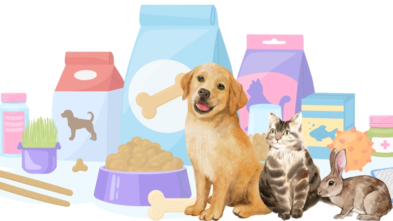Fill the Bowl! A Fun Pet Food Challenge!