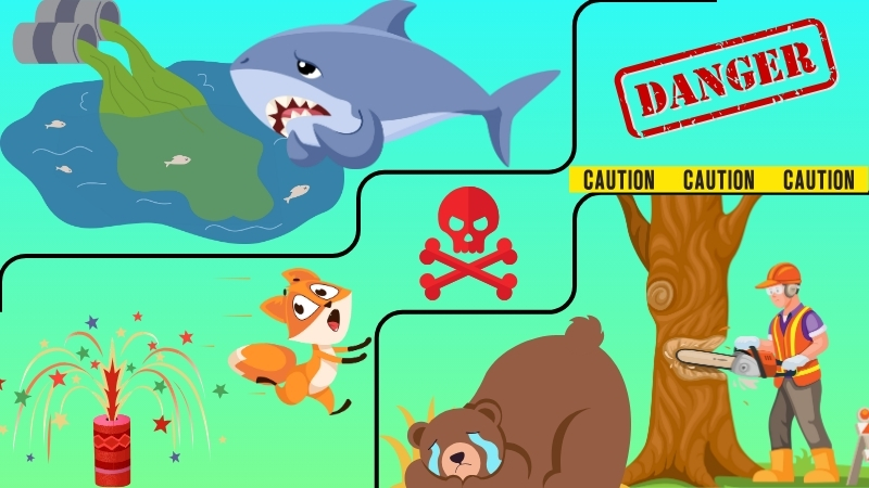 Rescue Mission: What Put These Animals in Danger