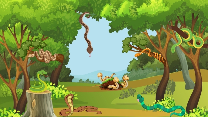 Slithering Secrets