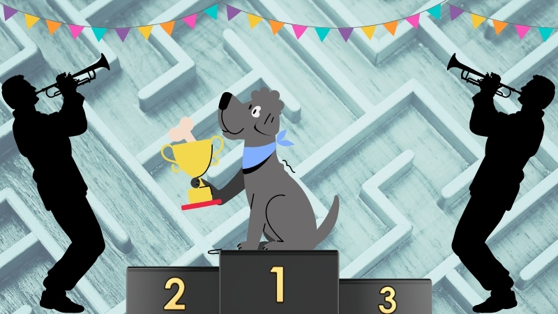 Street Smart Dog Maze