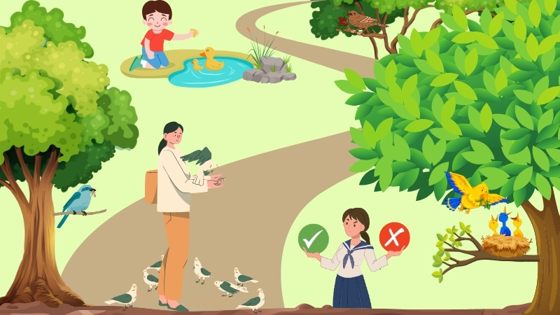 The Big Bird Feeding Quiz