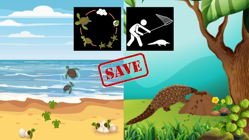 Saving the Wild: Who Needs What?