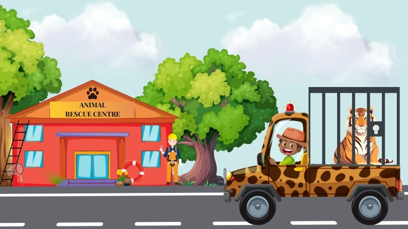 Mission: Tiger Rescue!
